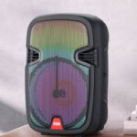 XO F51 Color Jade Outdoor RGB Bluetooth Speaker (with remote control + wired microphone *1)