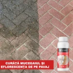 Solutie сuratare mucegai, muschi, eflorescenta verde, Nanomax, 750 ml