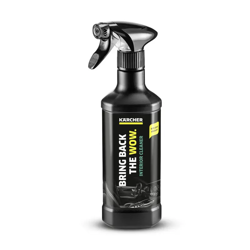 Curatitor pentru interior auto KARCHER RM 651