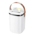 Hoco HX35 Mist 2L double spray humidifier