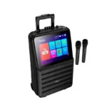 Hoco DS70 Spacious 768P outdoor karaoke Bluetooth speaker with dual microphone and display(EU)