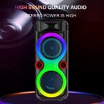 Sing-e ZQS8275 RGB Party Dual Speaker 8 inch 30W