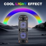 Sing-e ZQS8221 RGB Party Dual Speaker 8 inch 40W