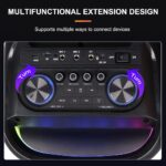 Sing-e ZQS8257 RGB Party Dual Speaker 8 inch 40W — изображение 2