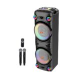 Sing-e JQS9055 RGB Party Dual Speaker 12 inch 100W