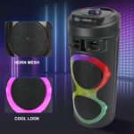 Sing-e ZQS6220 RGB Party Dual Speaker 25W