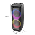 ZQSing-e ZQS8288 RGB Party Dual Speaker 40WS8288
