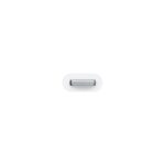 Apple Lightning to Micro USB Adapter - imagine 3