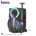HOCO DS40 8-inches BT speaker with trolley - imagine 2